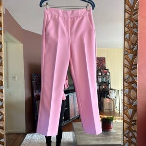 Zara pink pants nwt